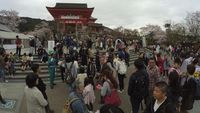 Kuil Kuno di Atas Bukit yang Populer di Kyoto