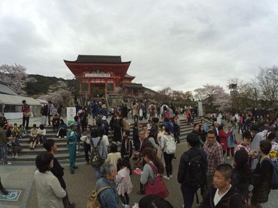Kuil Kuno di Atas Bukit yang Populer di Kyoto