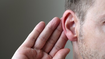 Perang Besar Meletus hingga Bertahun-tahun Akibat Telinga