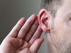 Telinga Berdenging Sebelah Kanan, Adakah Artinya Menurut Islam? Telinga Berdenging Sebelah Kanan, Adakah Artinya Menurut Islam?