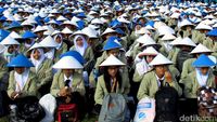 Penerimaan Mahasiswa Baru UGM 2016