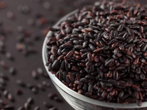 Ini Manfaat Beras Hitam Beras Terlarang untuk Kesehatan