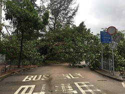 Topan Nida Terjang Hong Kong, Ratusan Penerbangan Dibatalkan