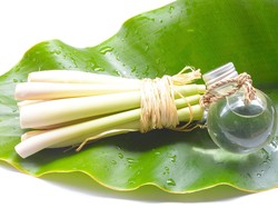 Trik Jitu Atasi Bau di Rumah dengan Pengharum Alami, No Bahan Kimia!