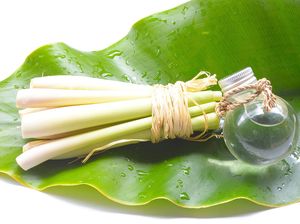 Trik Jitu Atasi Bau di Rumah dengan Pengharum Alami, No Bahan Kimia! Trik Jitu Atasi Bau di Rumah dengan Pengharum Alami, No Bahan Kimia!