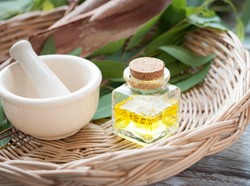 Pakai Minyak Esensial untuk Atasi Perut Kembung, Efektifkah?