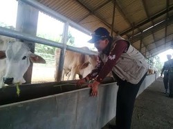 Pemkab Pasuruan Gandeng IPB Bangun Sekolah Peternakan Rakyat
