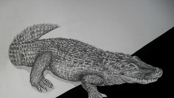 Gambar 3D Keren yang Lahir dari Goresan Pensil Aris