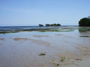 Wah, Ada Pantai dengan Seratusan Mata Air Tawar di Wakatobi