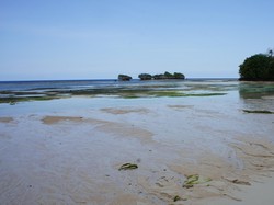Wah, Ada Pantai dengan Seratusan Mata Air Tawar di Wakatobi