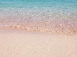 Tak Hanya Punya Pasir Unik, Pantai Pink Juga Asyik Buat Snorkeling