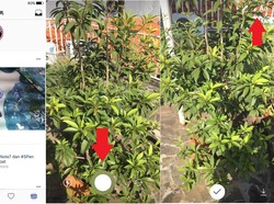 Instagram Stories Tawarkan Lebih Banyak Video