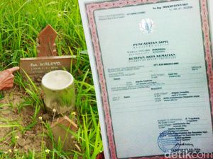 Kuburan Atas Nama Waluyo, Kepala Dusun: Nanti Mungkin Nisan Dihapus Saja