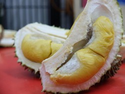 Ini Dia Durian Khas Malaysia: Musang King
