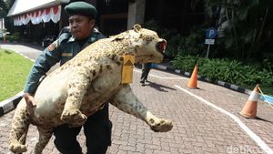 Pengungkapan Kasus Perdagangan Satwa Dilindungi
