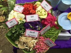 Unik, Ada Hidangan Bunga Goreng di Thailand