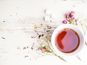Menikmati Semerbak Jasmine dan Chrysanthemum dalam Seduhan Teh Menikmati Semerbak Jasmine dan Chrysanthemum dalam Seduhan Teh