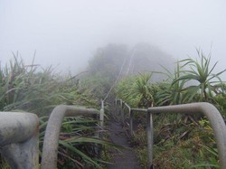 Ini Dia Tangga Menuju ke Surga di Hawaii