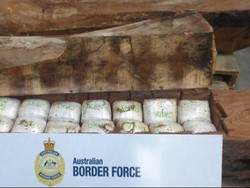 Narkoba 154 Kg dalam Kayu Gelondongan Ditemukan di Sydney