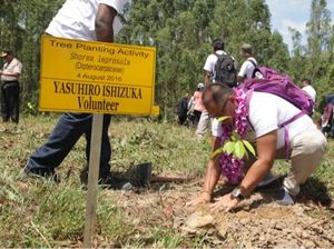 2 Lembaga Jepang Ikut Tanam Pohon di Lahan Terdegradasi Riau