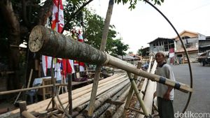 Jelang HUT RI, Pedagang Pohon Pinang Mulai Marak