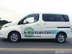 Peluang Usaha Baru: Bikin dan Jualan Etanol