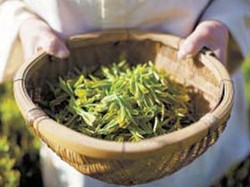 Proses Pengolahan Teh Tradisional Korea Resmi jadi Warisan Budaya Non Benda