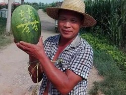 Diukir Kaligrafi, 3000 Kg Semangka Terjual Dalam 11 Hari