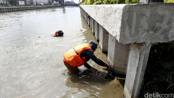 Kalimalang Dibersihkan