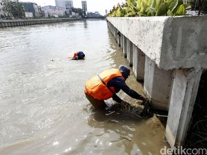 Kalimalang Dibersihkan