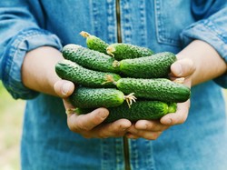 Kalau Rutin Konsumsi Produk Organik Ini Manfaat Baik yang Didapat (2)