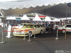 Komunitas Mercy Boxer Rayakan Ultah di Bandung