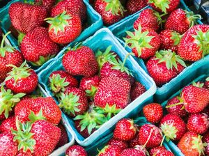 5 Jenis Buah Penurun Berat Badan dan Martabak hingga Sandwich Berlumur Keju Leleh