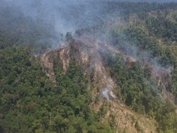 Satgas Karhutla Minta Penyegelan Lahan Terbakar Tak Hanya Kewenangan Polisi