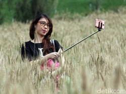 Bupati Irsyad Ajak Netizen Kampanyekan Lokasi Wisata di Pasuruan