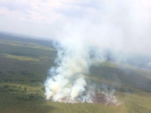 Dihukum Rp 1 T PN Jaksel Atas Kebakaran Lahan di Riau, PT NSP Akan Tempuh Banding