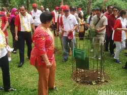 Megawati Ajak Dubes Negara Sahabat Menanam di Kebun Raya Bali