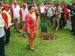 Megawati Hanya Tersenyum Saat Ditanya Soal Risma