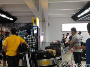 Ini Kata Kemenhub Soal Koper Penumpang Emirates Belum Sampai di Indonesia Ini Kata Kemenhub Soal Koper Penumpang Emirates Belum Sampai di Indonesia