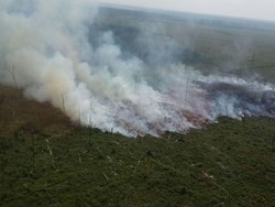 Lahan Riau Kembali Terbakar, Ini Penampakannya dari Udara