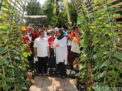 Bupati Anas Dukung Pemanfaatan Lahan Kosong di Perkotaan untuk Berkebun