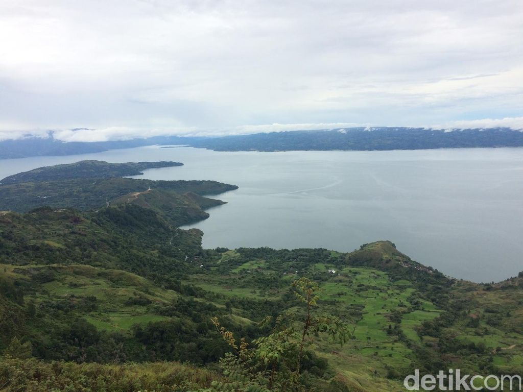 Tak Sekadar Legenda, Ikan Mas Danau Toba Bisa Berukuran Raksasa Tak Sekadar Legenda, Ikan Mas Danau Toba Bisa Berukuran Raksasa