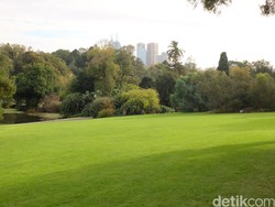 Menikmati Suasana Asri Kebun Raya di Tengah Kota Melbourne