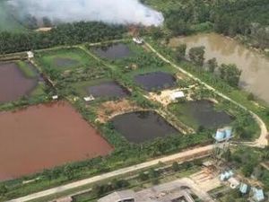 BNPB: 232 Hotspot Terdeteksi, Kebakaran Hutan Terkendali