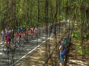 Ujian Berat di Kelok 44 dan Tanjakan ke Puncak Lawang di Etape IV