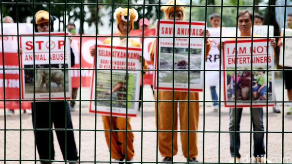 Aksi Stop Eksploitasi Satwa