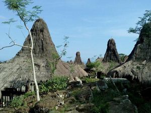 Mengenal Sodan, Kampung Adat di Sumba
