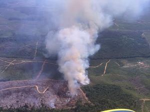 Penampakan Lahan yang Terbakar di Riau yang Tengah Dipadamkan Satgas Udara Penampakan Lahan yang Terbakar di Riau yang Tengah Dipadamkan Satgas Udara