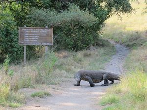 Kontroversi Rencana Penutupan Pulau Komodo Kontroversi Rencana Penutupan Pulau Komodo