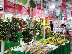 Produk Segar Petani Lokal di Transmart Carrefour